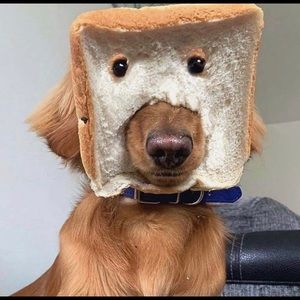 Meet your Posher, Greg